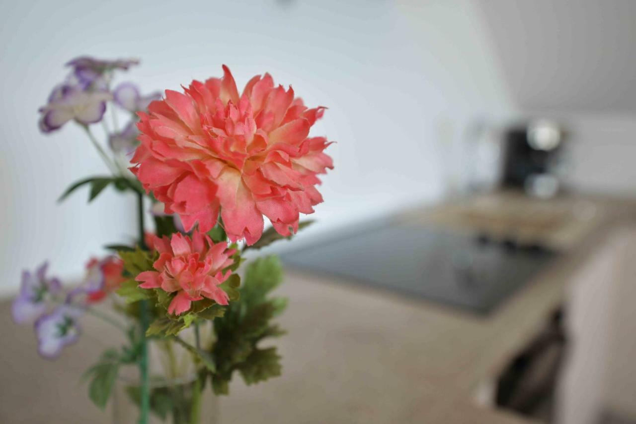 Apartmani Mikin Betina  Luaran gambar